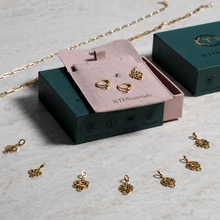 Load image into Gallery viewer, luxury-jewelry-packaging-box_charms chakra 