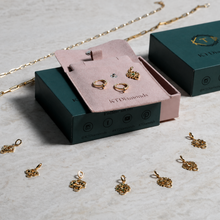 Load image into Gallery viewer, luxury-jewelry-packaging-box