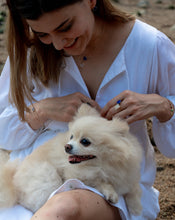 Load image into Gallery viewer, Magical Lapis Lazuli Gemstone Gold Earrings